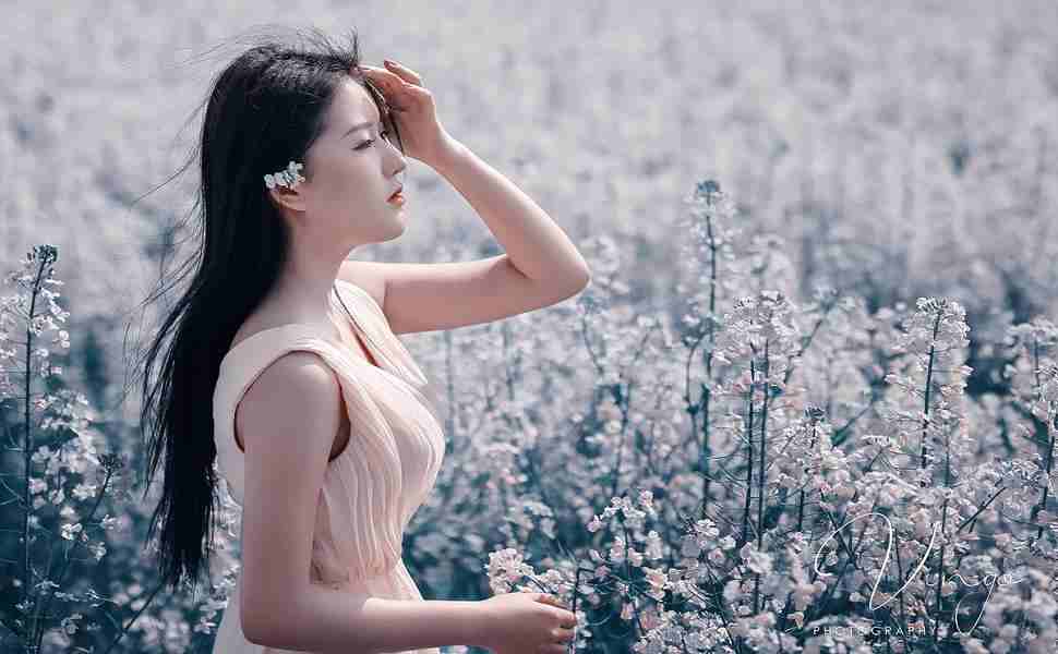 蚂蚁超级镜像站群技巧