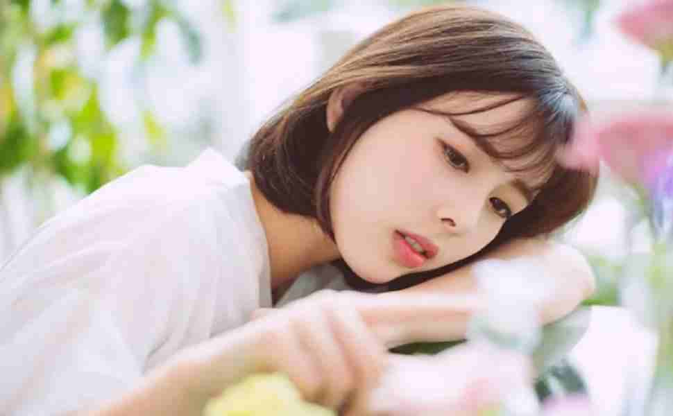 香港站群8c是啥