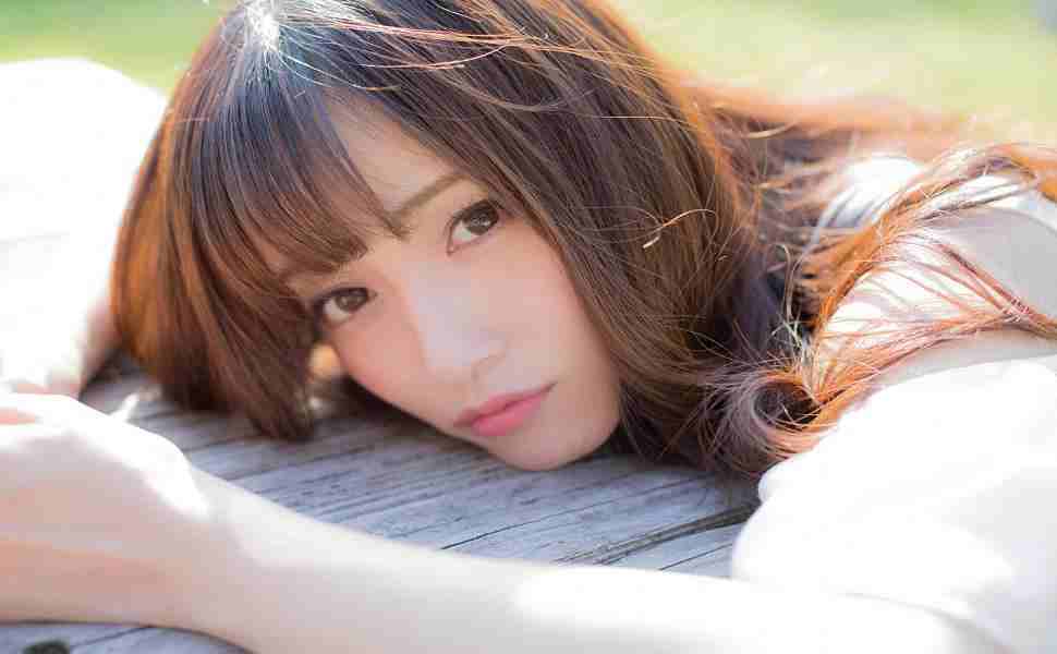 企业站群cms官网免费